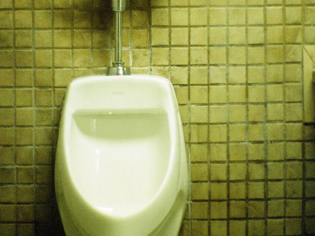 トイレの快適な暮らしを守るためのトラブル予防と業者選びの知恵
